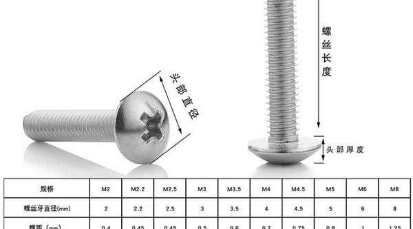 BiarritzProduction de rainure transversale en acier inoxydable 304 grande tête plate vis à tête plate boulon vis à tête champignon vis à dents